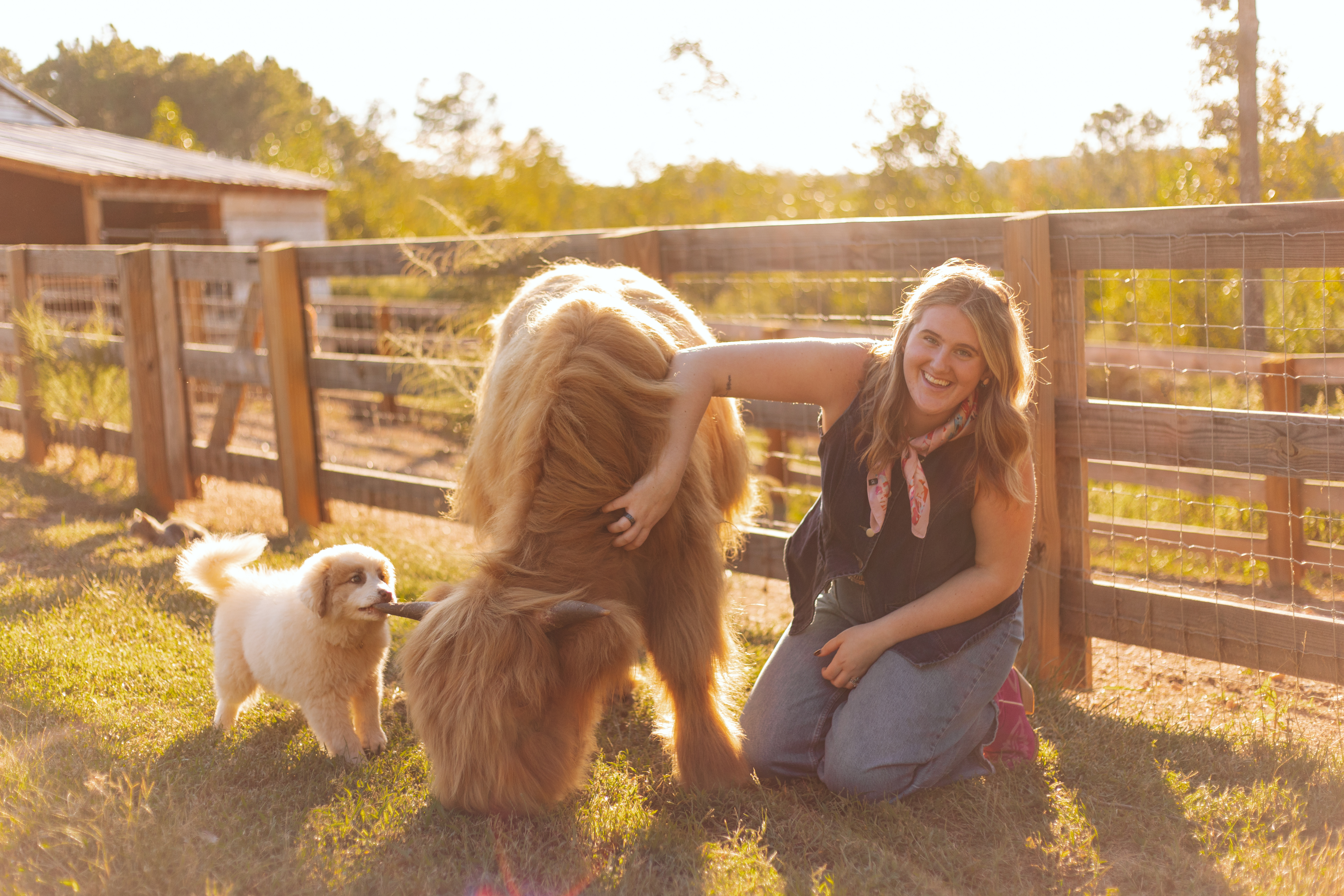 Russell Ranch - Premium Experience - Up Close and Personal with the herd