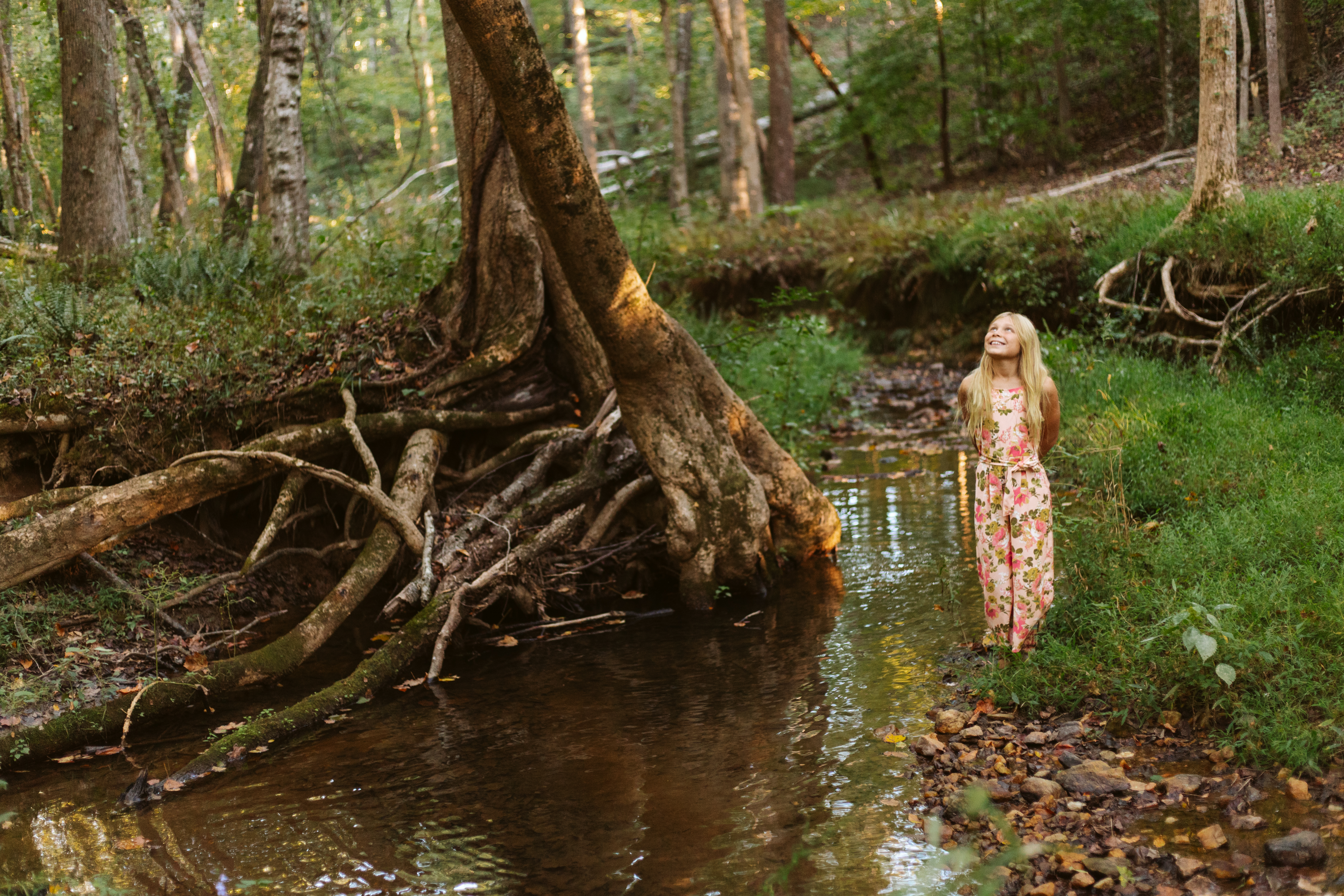 Russell Ranch - Creekside Forest
